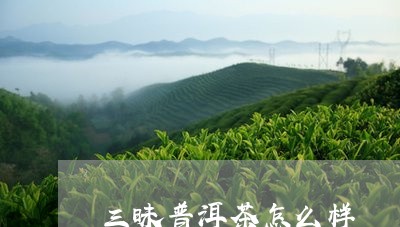 三昧普洱茶怎么样/2023031713037