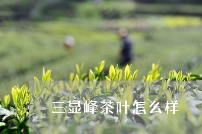 三显峰茶叶怎么样/2023032575059