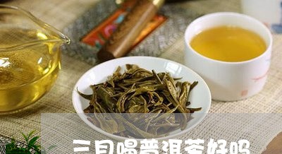 三月喝普洱茶好吗/2023033175360