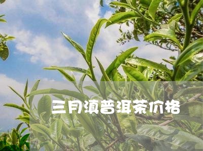 三月滇普洱茶价格/2023041309715