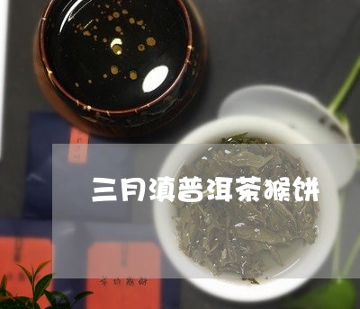 三月滇普洱茶猴饼/2023041136261