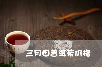 三月田普洱茶价格/2023033142514