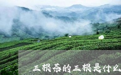 三根茶的三根是什么/2023032119382