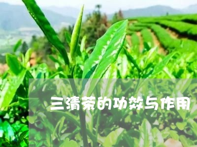 三清茶的功效与作用/2023032106958