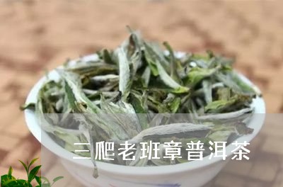 三爬老班章普洱茶/2023031770693