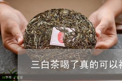 三白茶喝了真的可以祛斑吗/2023040152724