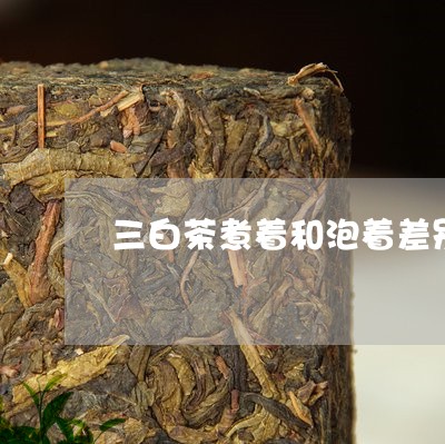 三白茶煮着和泡着差别在哪/2023040114027