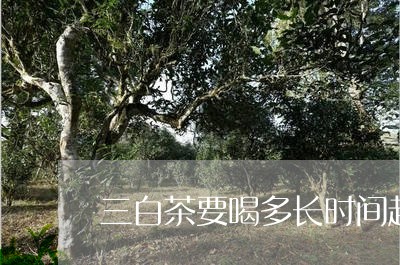 三白茶要喝多长时间起作用/2023040118270