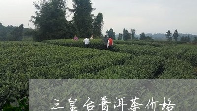 三皇台普洱茶价格/2023033061628