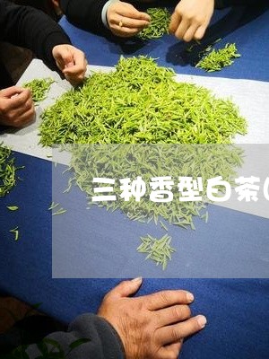 三种香型白茶图片价格区别/2023040150683