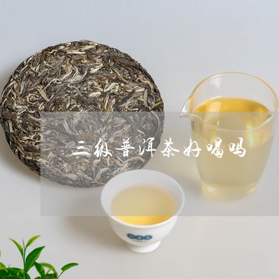 三级普洱茶好喝吗/2023033146138