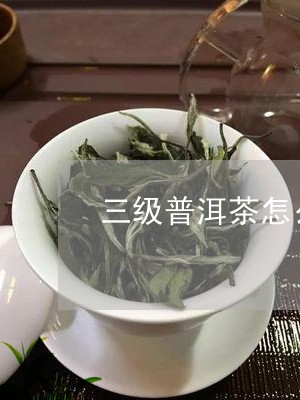 三级普洱茶怎么样/2023041348389