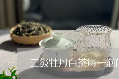 三级牡丹白茶每一泡的口感/2023040153138