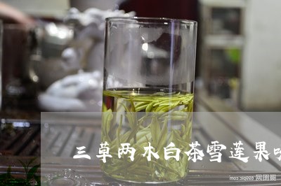 三草两木白茶雪莲果味饮料/2023040120591