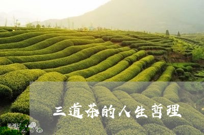 三道茶的人生哲理/2023032592825