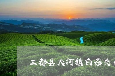 三都县大河镇白茶交易市场/2023040182726