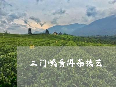 三门峡普洱茶技艺/2023033019294