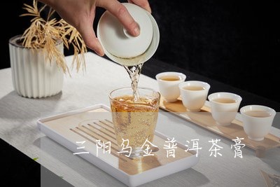 三阳乌金普洱茶膏/2023033138261