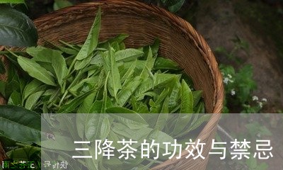 三降茶的功效与禁忌/2023041678271