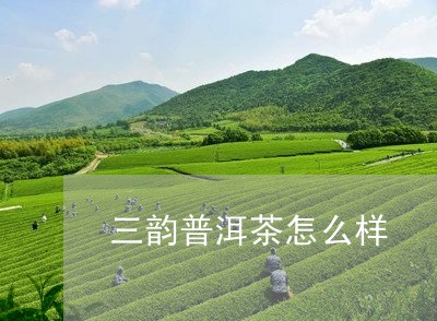 三韵普洱茶怎么样/2023033030583