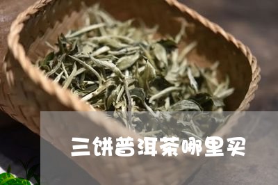 三饼普洱茶哪里买/2023040192917