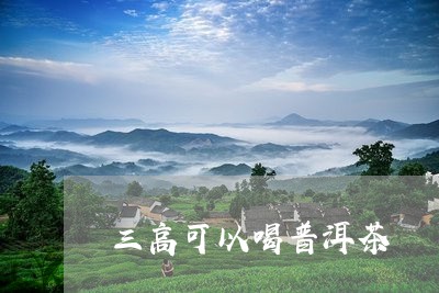 三高可以喝普洱茶/2023033158382