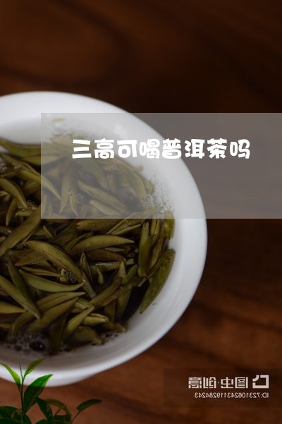 三高可喝普洱茶吗/2023033058160