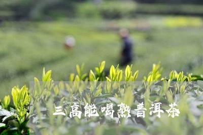 三高能喝熟普洱茶/2023031694169