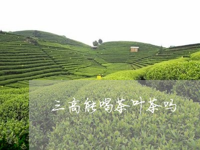 三高能喝茶叶茶吗/2023032586271