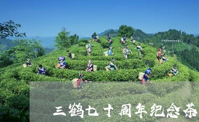 三鹤七十周年纪念茶/2023041694957