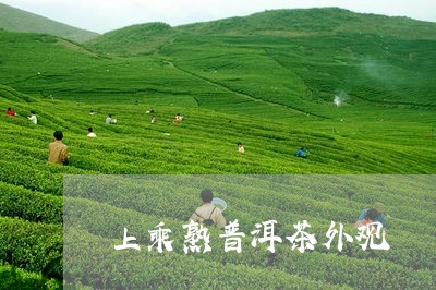 上乘熟普洱茶外观/2023041094151