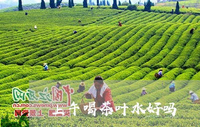 上午喝茶叶水好吗/2023032646169