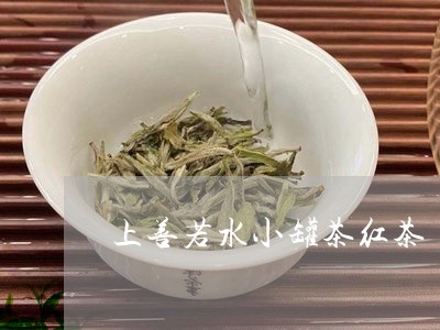 上善若水小罐茶红茶/2023031947492