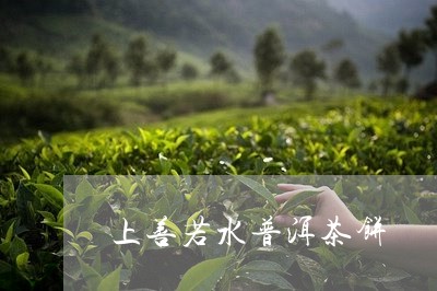 上善若水普洱茶饼/2023041099694