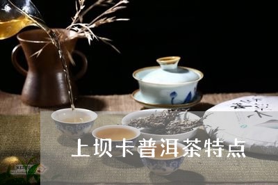 上坝卡普洱茶特点/2023031653815