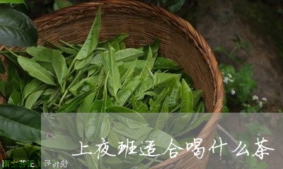 上夜班适合喝什么茶/2023032070471