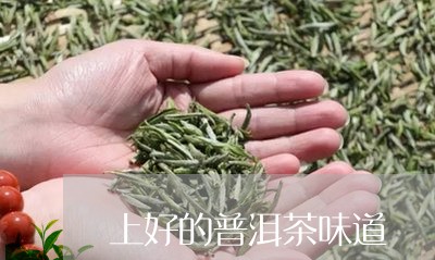 上好的普洱茶味道/2023041225048