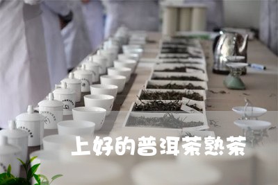 上好的普洱茶熟茶/2023031677260