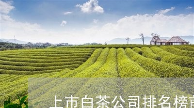 上市白茶公司排名榜前十名/2023040170816