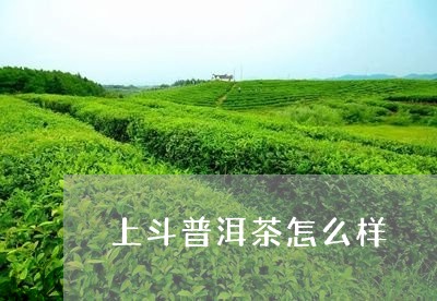 上斗普洱茶怎么样/2023040118460