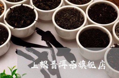 上根普洱茶旗舰店/2023033028493