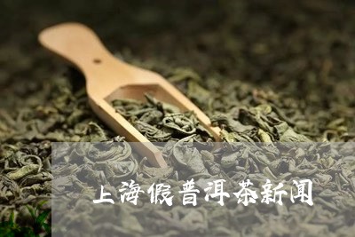 上海假普洱茶新闻/2023041035592