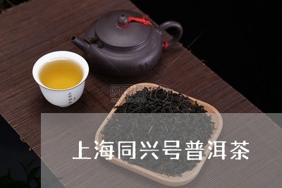 上海同兴号普洱茶/2023040184037