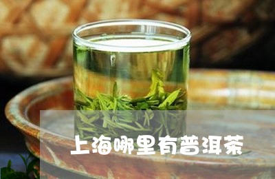 上海哪里有普洱茶/2023041003817