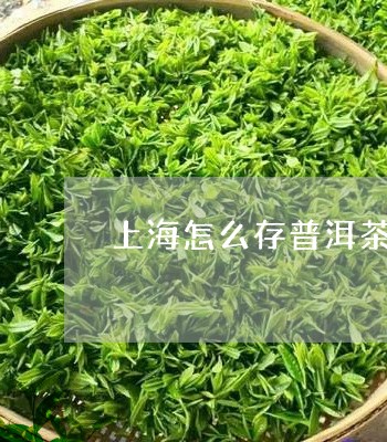 上海怎么存普洱茶/2023040923606