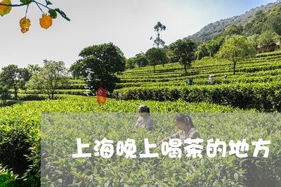 上海晚上喝茶的地方/2023032196161