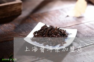 上海普洱茶加盟店/2023033050514