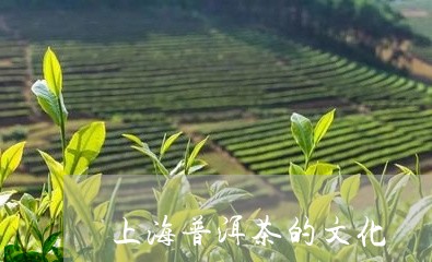 上海普洱茶的文化/2023031715159