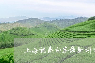 上海福鼎白茶最新研究成果/2023033123948