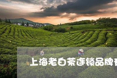 上海老白茶连锁品牌有哪些/2023033163817